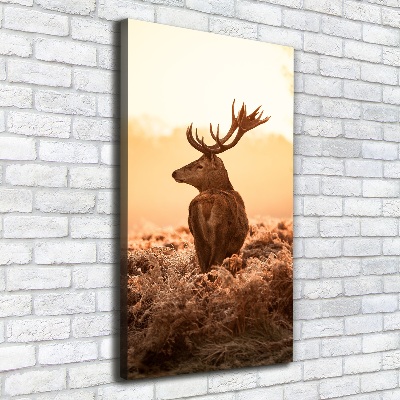 Canvas print Deer sunrise