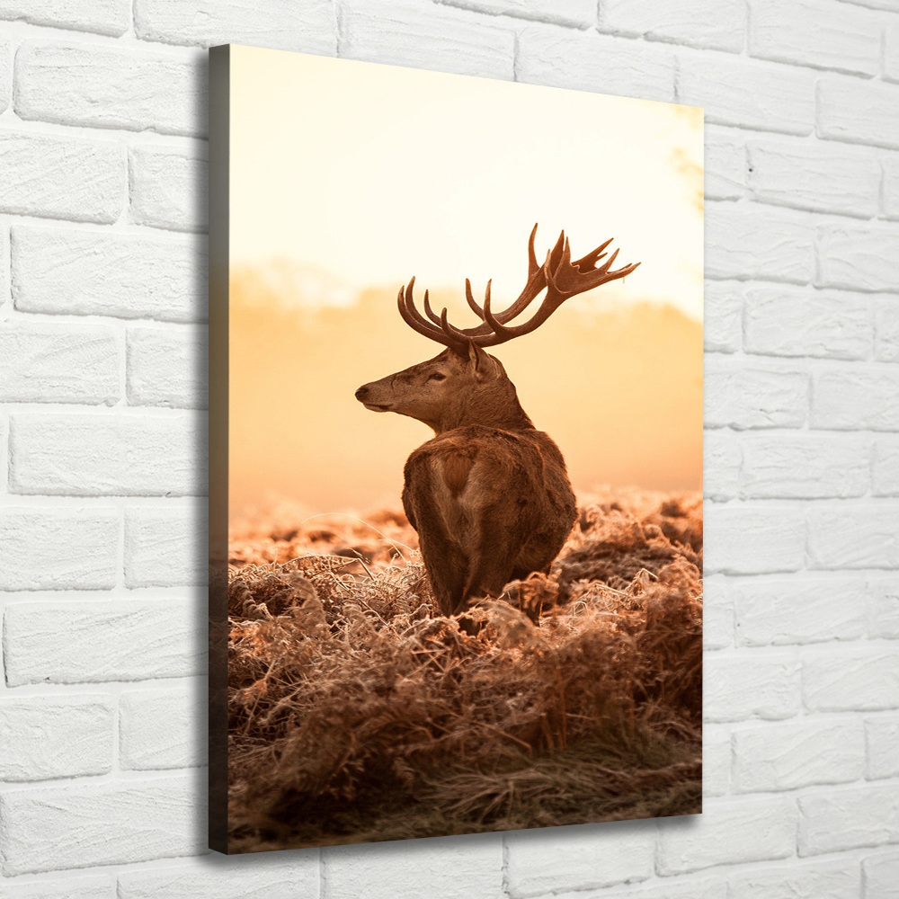 Canvas print Deer sunrise