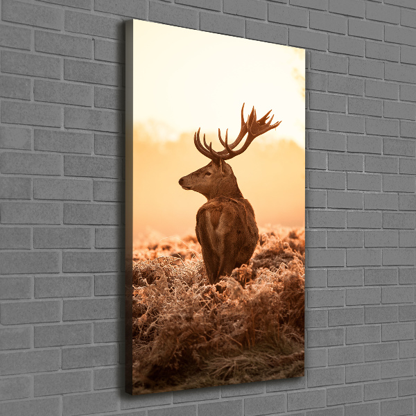 Canvas print Deer sunrise