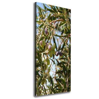 Picture canvas print Olives on a tree