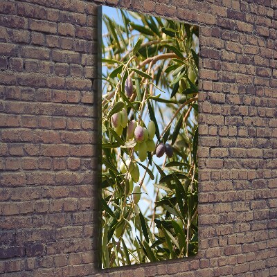 Picture canvas print Olives on a tree