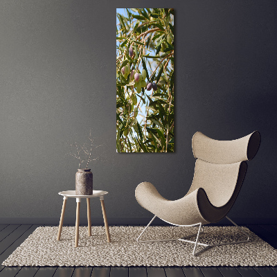 Picture canvas print Olives on a tree