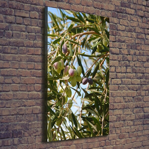 Picture canvas print Olives on a tree