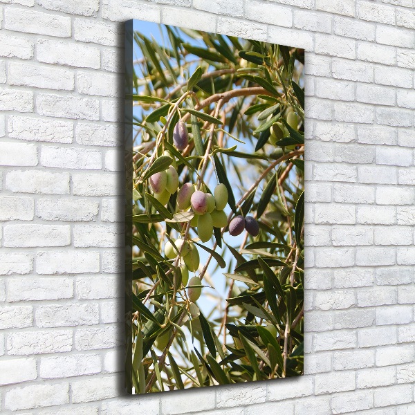 Picture canvas print Olives on a tree