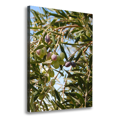 Picture canvas print Olives on a tree