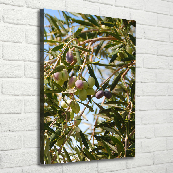 Picture canvas print Olives on a tree