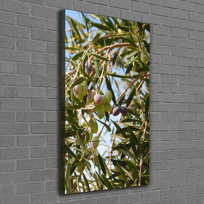 Picture canvas print Olives on a tree