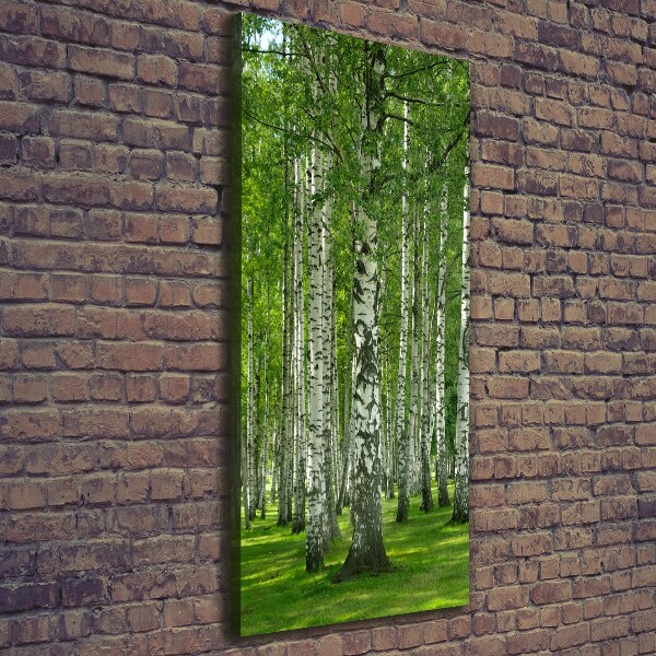 Canvas wall art Birch forest