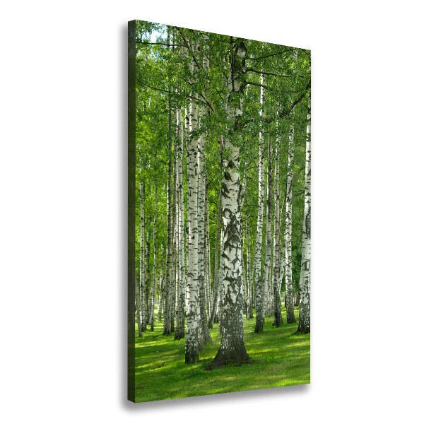 Canvas wall art Birch forest