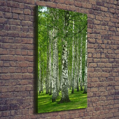 Canvas wall art Birch forest