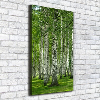 Canvas wall art Birch forest