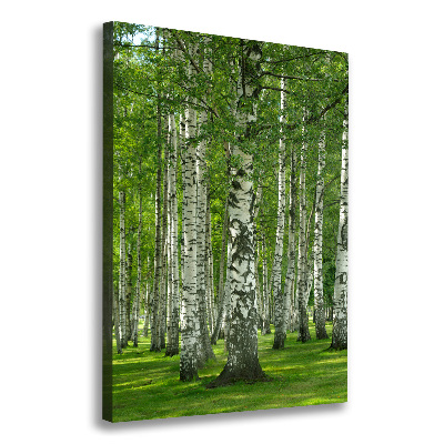 Canvas wall art Birch forest