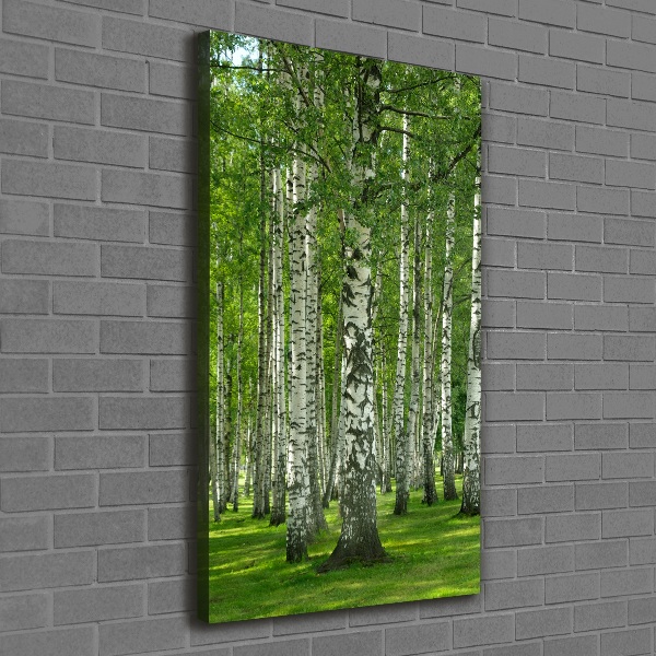 Canvas wall art Birch forest