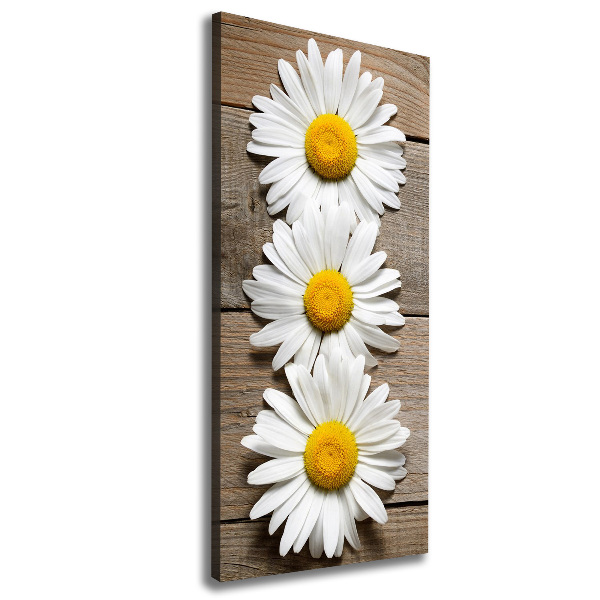 Picture canvas print Chamomile on wood