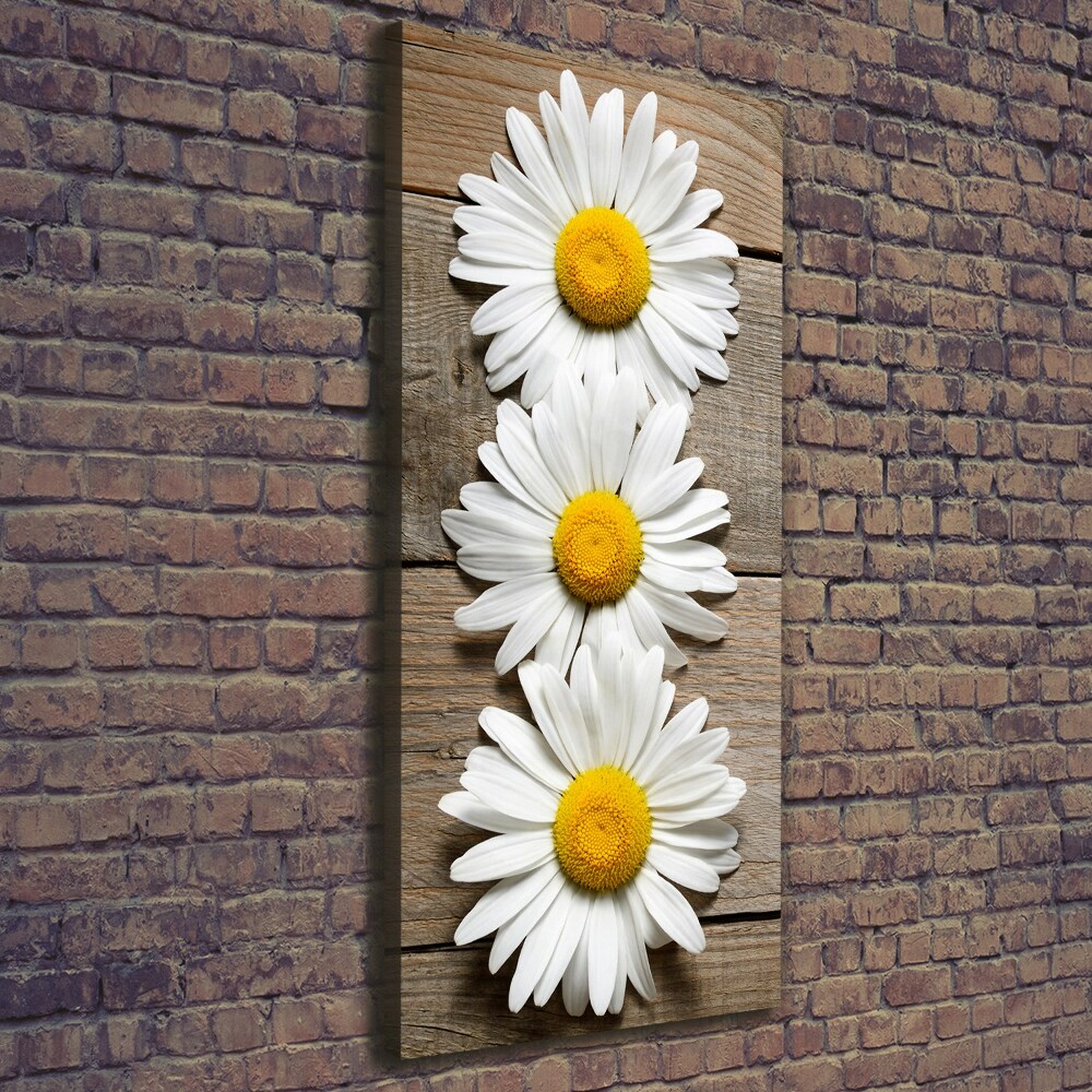 Picture canvas print Chamomile on wood