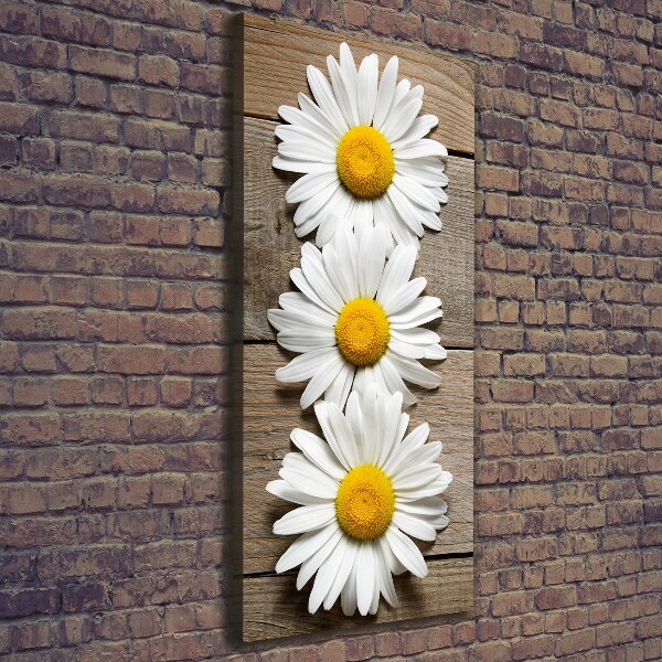 Picture canvas print Chamomile on wood