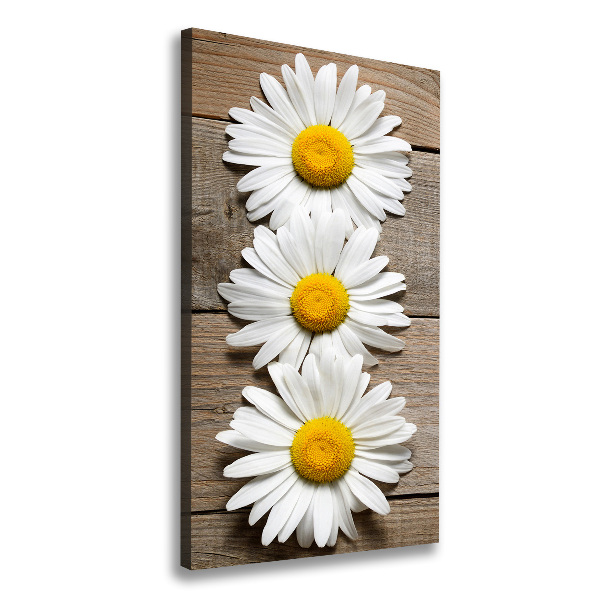 Picture canvas print Chamomile on wood