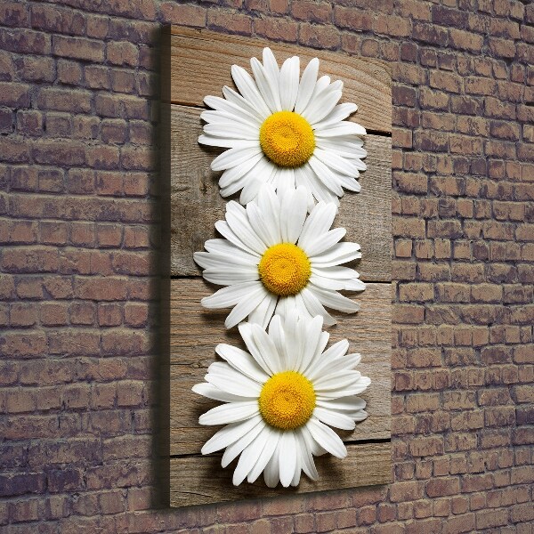 Picture canvas print Chamomile on wood