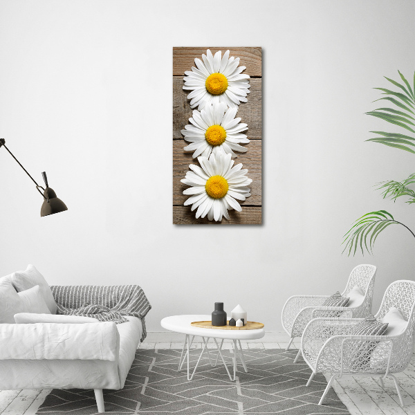 Picture canvas print Chamomile on wood