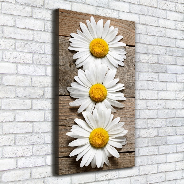 Picture canvas print Chamomile on wood