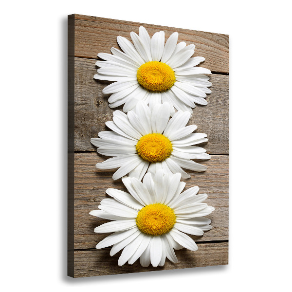 Picture canvas print Chamomile on wood