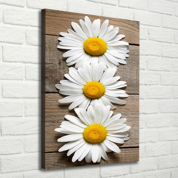 Picture canvas print Chamomile on wood