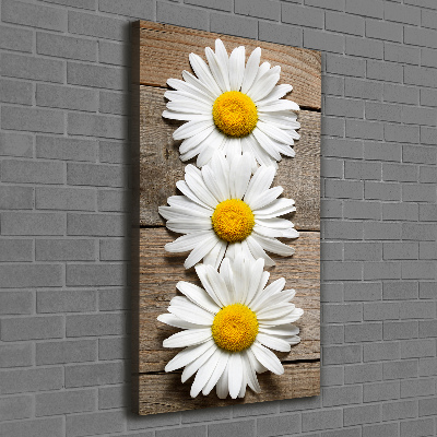 Picture canvas print Chamomile on wood