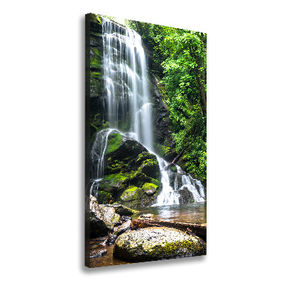 Canvas wall art Waterfall in the jungle