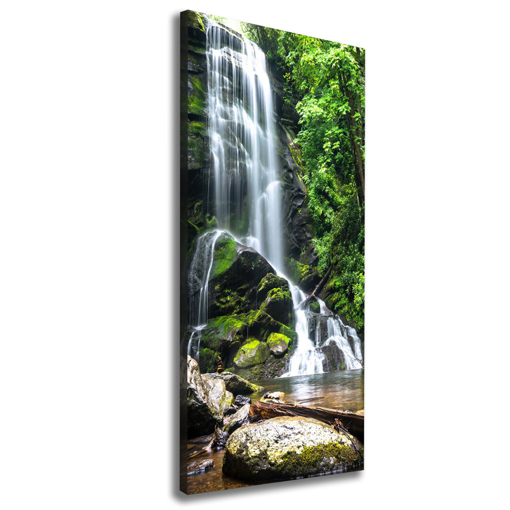 Canvas wall art Waterfall in the jungle