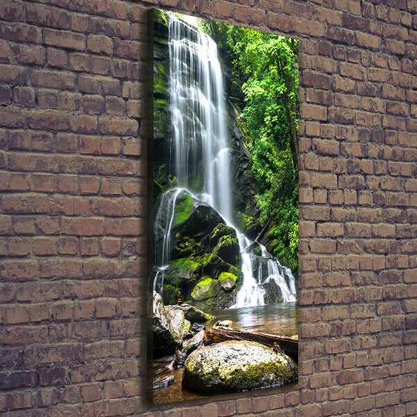 Canvas wall art Waterfall in the jungle