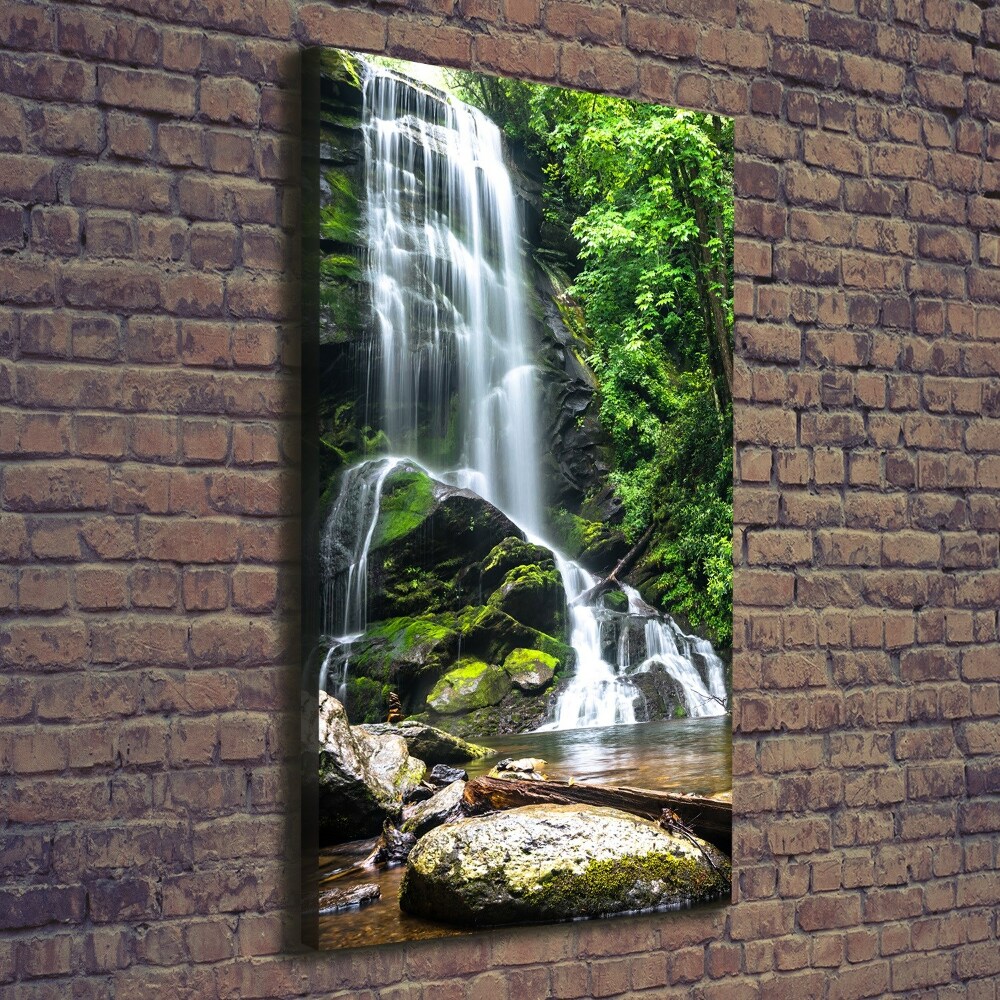 Canvas wall art Waterfall in the jungle