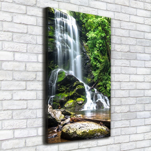 Canvas wall art Waterfall in the jungle