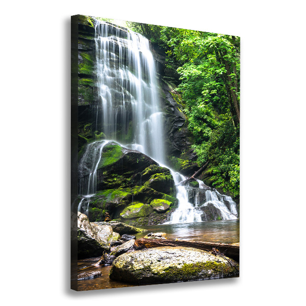 Canvas wall art Waterfall in the jungle