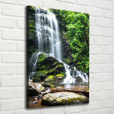 Canvas wall art Waterfall in the jungle