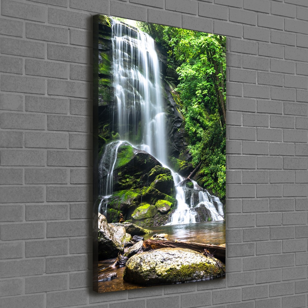 Canvas wall art Waterfall in the jungle