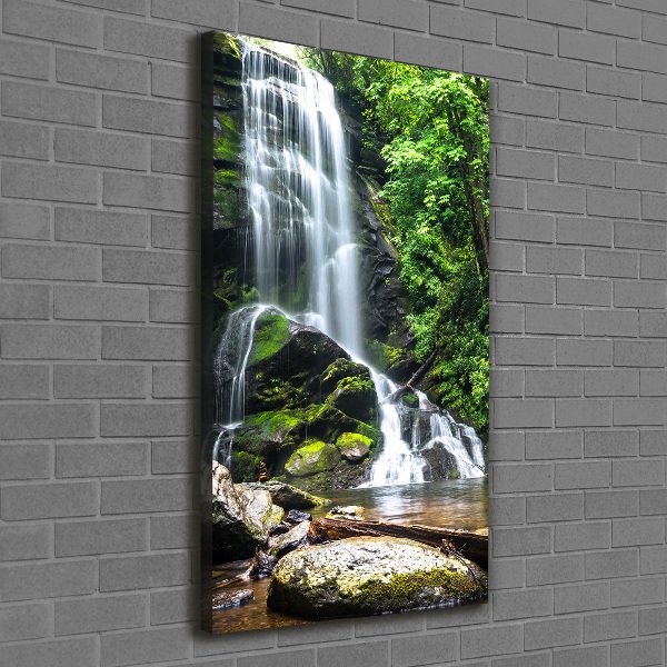 Canvas wall art Waterfall in the jungle