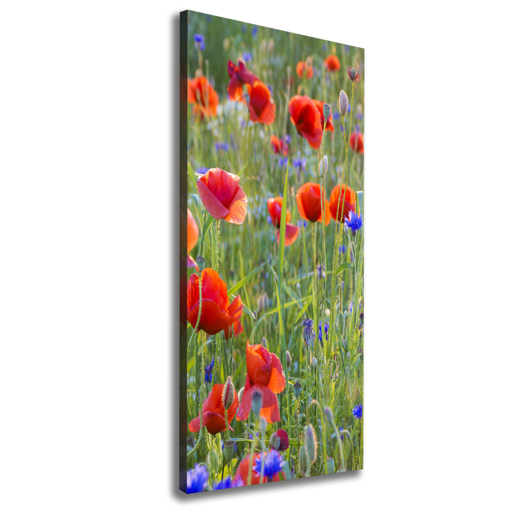 Picture canvas print Field poppies