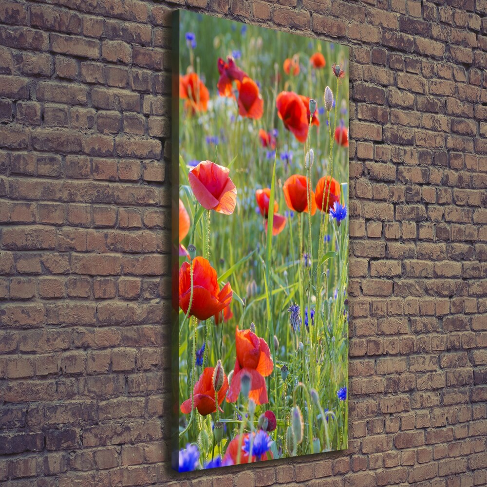 Picture canvas print Field poppies