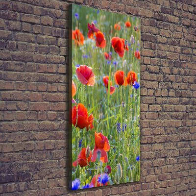 Picture canvas print Field poppies