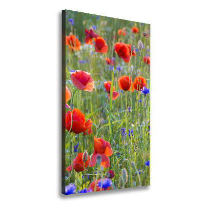 Picture canvas print Field poppies