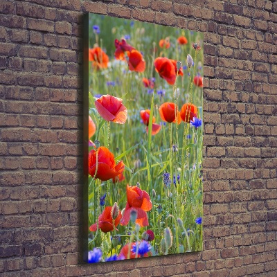 Picture canvas print Field poppies