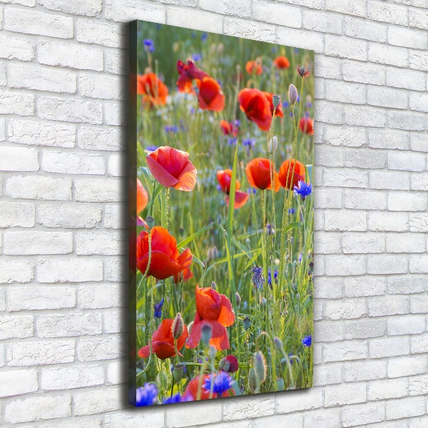 Picture canvas print Field poppies