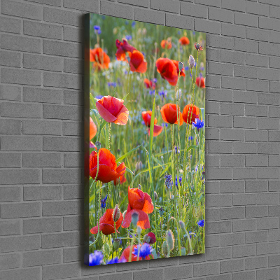 Picture canvas print Field poppies