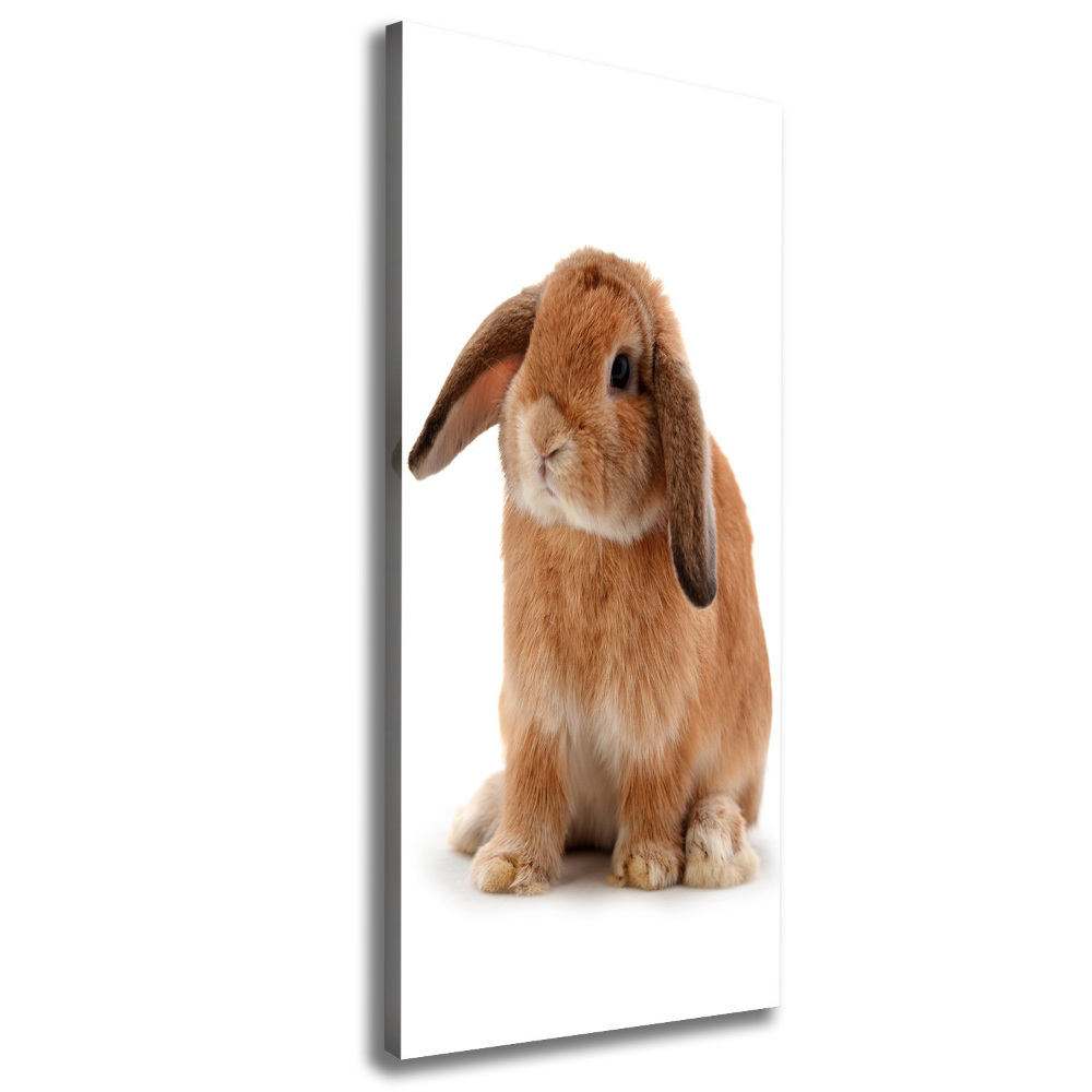 Wall art canvas large Rabbit