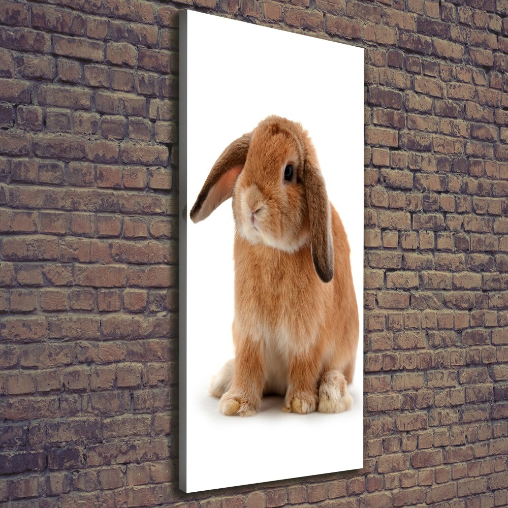 Wall art canvas large Rabbit