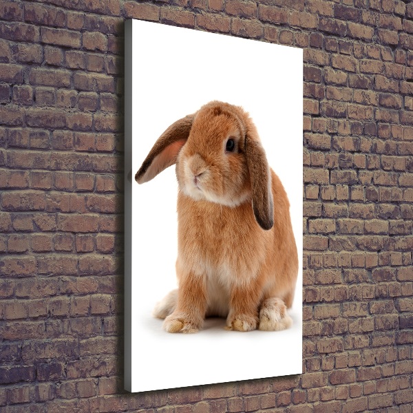 Wall art canvas large Rabbit