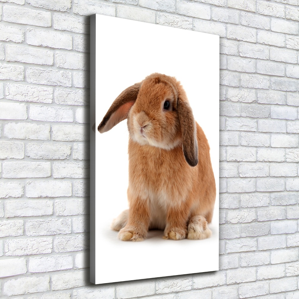 Wall art canvas large Rabbit