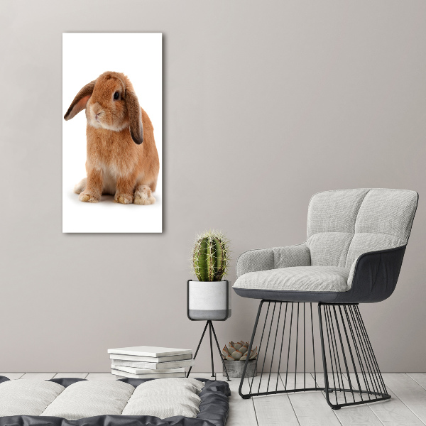 Wall art canvas large Rabbit