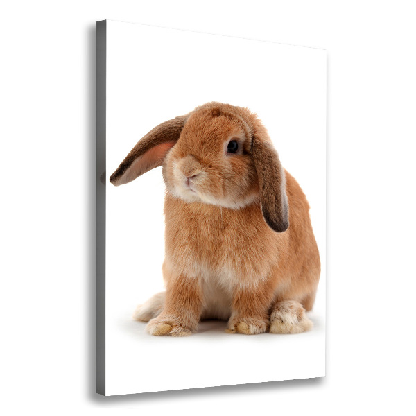 Wall art canvas large Rabbit