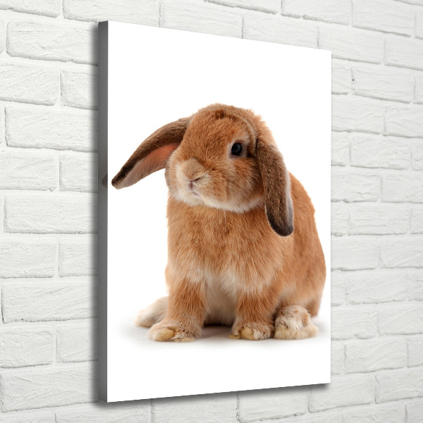 Wall art canvas large Rabbit